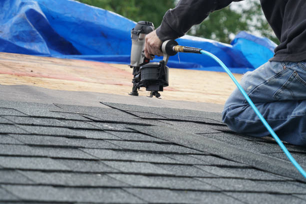 Best Roof Gutter Cleaning  in Charles City, IA