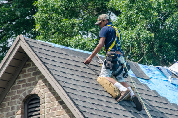 Best Shingle Roofing Installation  in Charles City, IA